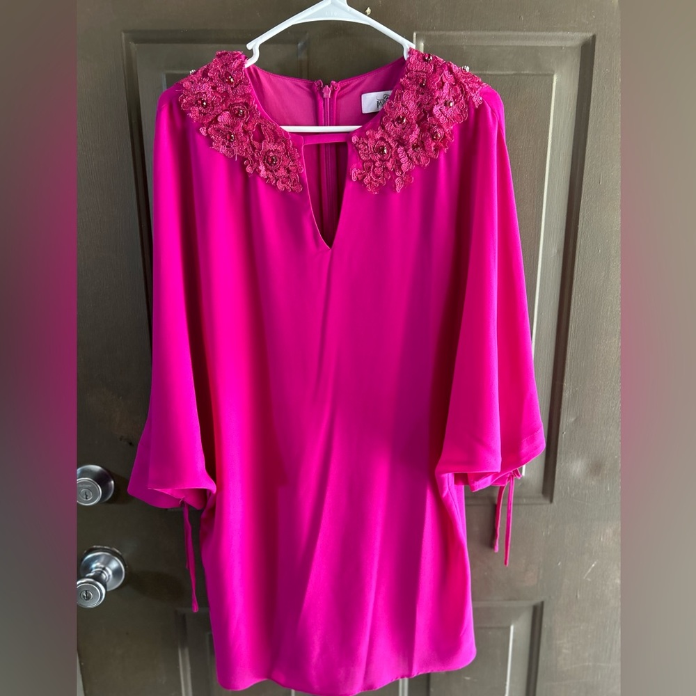 Belle Badgley Mischka Pink Dress
